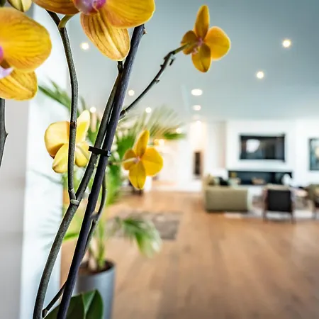 Bed & Breakfast Azaitu Porto-Vecchio (Corsica)