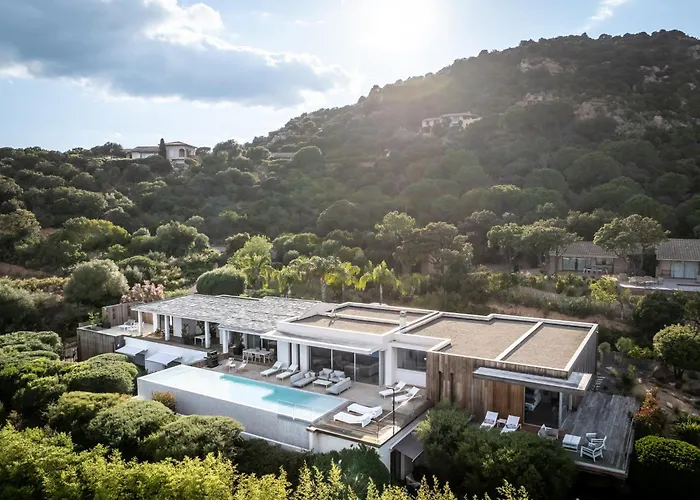 Azaitu Porto-Vecchio (Corsica)