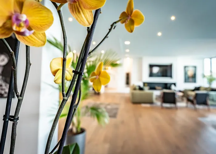 Oda ve Kahvaltı Azaitu Porto-Vecchio (Corsica)